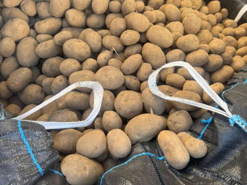 Whats App Image 2026 03 02 at 12 27 37 4